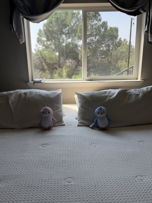 Two small penguin plush toys sitting on a white textured blanket in front of gray pillows, with a window showing trees in the background.