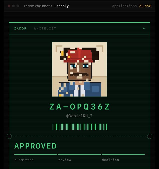 A digital whitelist approval screen for 'ZADDR' showing code 'ZA-OPQ36Z' with the handle '@DanialRH_7' marked as APPROVED, featuring a pixel art pirate character avatar.