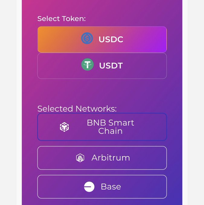 A token selection screen showing USDC and USDT options under "Select Token:" with USDC highlighted, alongside "Selected Networks" displaying BNB Smart Chain, Arbitrum, and Base. The image relates to the Alphamind Labs IDO platform for the Byzanlink project, illustrating the network and token choices available for participation in the offering available through August 31.