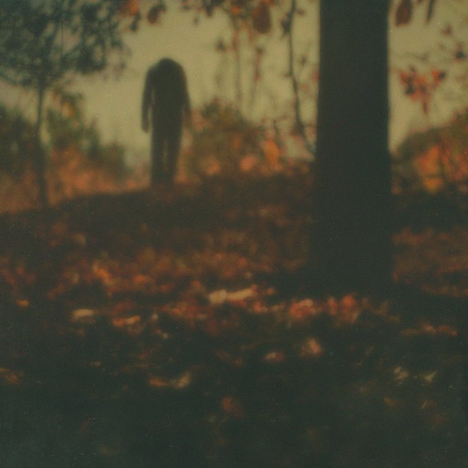 A dark, blurry, atmospheric photo of a silhouetted figure standing in a forest setting with autumn leaves and warm lighting.