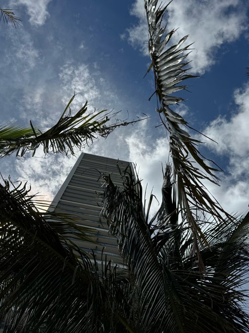 A low-angle photograph looking upward shows palm fronds silhouetted against a partly cloudy blue sky, with the corner of a modern building visible in the background.