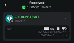 A cryptocurrency transaction receipt shows a received transfer of "+100.26 USDT" worth +$100.17 from address 0x37a0c5d0ff19ab7249e... to the wallet 0xd85081...3be9b2. The image relates to the post by providing evidence of a small USDT deposit, which the user likely references while complaining about earning "0 gig" over four months and asking for guidance on generating income in crypto.