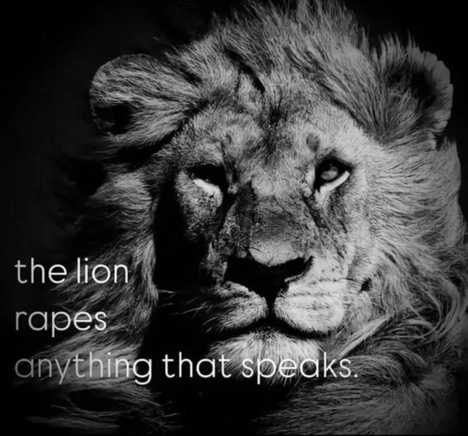 A black-and-white close-up of a lion's face stares intensely at the viewer, overlaid with the text "the lion rapes anything that speaks." The meme humorously exaggerates how eagerly developers deploy changes at the slightest sign of a buy signal, treating the market like a predatory lion attacking any bullish cue.