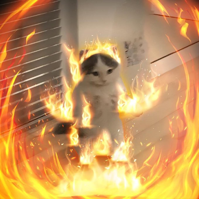 The image features a cat with flames coming out of its mouth, giving the impression that it's made of fire. The cat appears to be standing on a table or countertop, surrounded by a burning area. The background shows a white wall with a window, and there is also a sign in the scene that reads "the great $MICHI migration is officially complete! all unclaimed tokens and reclaimed sol has been deposited into the michi deployer wallet / treasury." This suggests that the cat might be a part of an event or promotion related to the Great Migration.