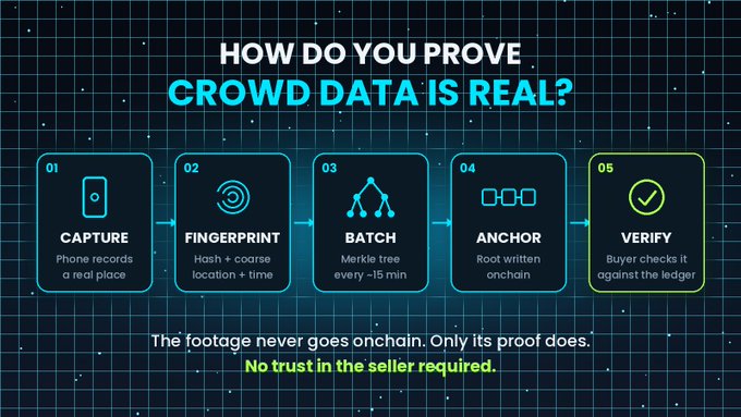An infographic titled 'HOW DO YOU PROVE CROWD DATA IS REAL?' outlining a 5-step verification process: Capture, Fingerprint, Batch, Anchor, and Verify.