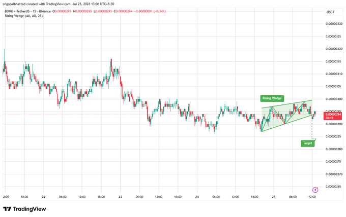 A TradingView candlestick chart of BONK / TetherUS on Binance showing a rising wedge pattern with price at 0.00000295 and a -0.34% change.
