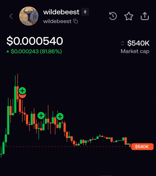 A cryptocurrency trading chart for 'wildebeest' showing a price of $0.000540, an 81.86% increase, and a market cap of $540K.