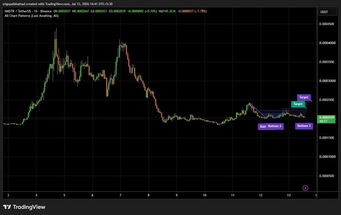 A TradingView candlestick chart of HIST/USDT pair on Binance, showing price action from July 3-13, 2024, with technical analysis annotations including a 'Target' around 0.00022500, 'Butt Bottom 2', and 'Bottom 3' markers.