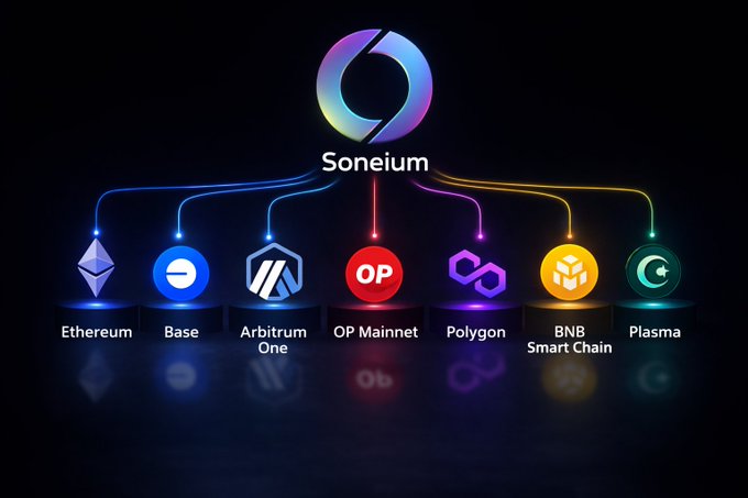 A network of six interconnected logos, including "Soneum", "OP", "ARBITRUM", and "POWER CHAIN", is displayed against a black background with blue and purple lights.
