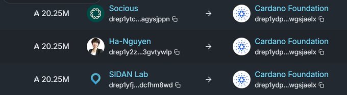 A list of blockchain transactions showing multiple transfers of 20.25M from various sources including Socious, Ha-Nguyen, and SIDAN Lab, all sent to the Cardano Foundation.