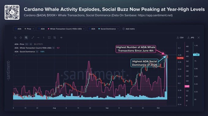 A Santiment chart titled 'Cardano Whale Activity Explodes, Social Buzz Now Peaking at Year-High Levels' showing Cardano (ADA) price, $100K+ whale transactions, and social dominance, with annotations highlighting the highest whale transactions since June 4th and highest social dominance of 2026.