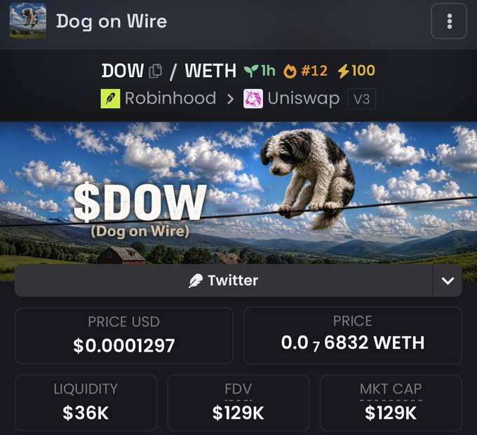 The image displays the DexScreener listing for $DOW (Dog on Wire), priced at $0.0001297 with $36K liquidity and a $129K market cap, featuring a dog balancing on a wire as its mascot—visually reinforcing the post's excitement about the freshly launched token and its "high-wire" potential.