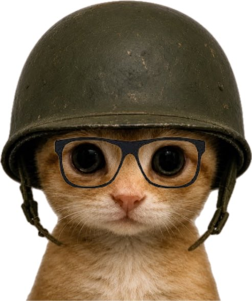 An orange kitten wearing a military-style green helmet and black-rimmed glasses stares directly at the camera.