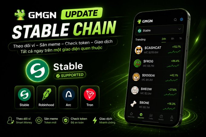 A promotional banner for GMGN's Stable Chain update, advertising features for tracking smart money, hunting memes, checking tokens, and fast trading, with a phone screenshot showing trending tokens like $CASHCAT (+152.7%) and $FROG (+86.4%), and supported chains including Stable, Robinhood, Arc, and Tron.