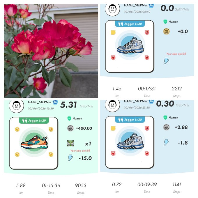 The image shows a collage of four photos, each featuring a different pair of sneakers with various colors and designs. The first photo displays a red rose bush next to a pair of blue sneakers, while the second photo features a pink rose bush alongside a pair of white sneakers. The third photo showcases a red rose bush paired with a pair of gray sneakers, and the fourth photo presents a pink rose bush accompanied by a pair of black sneakers. Each photo is accompanied by text that provides information about the sneakers or their colors, such as "HAGE Stepn" in the first photo and "LAGEE JOGER" in the third one. The collage also includes a post on social media with an image of a person's jogging progress displayed alongside the four photos.