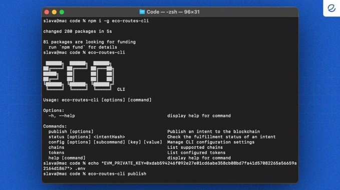 A terminal window shows a command-line interface with 'ECO CLI' branding, listing commands like publish, status, config, chains, tokens, and help, with an environment variable being set.