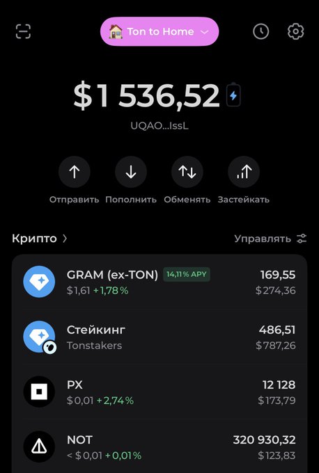 A mobile crypto wallet interface labeled 'Ton to Home' displaying a balance of $1,536.52, with options to send, receive, swap, and stake, and a list of crypto assets including GRAM, PX, and NOT.