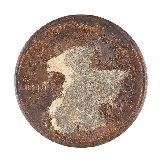 A photograph of a heavily rusted and corroded circular object, possibly a tin lid, covered in brown rust with a patch of fuzzy white mold or growth in the center, with faint embossed text reading 'LIBERTY' visible on the surface.