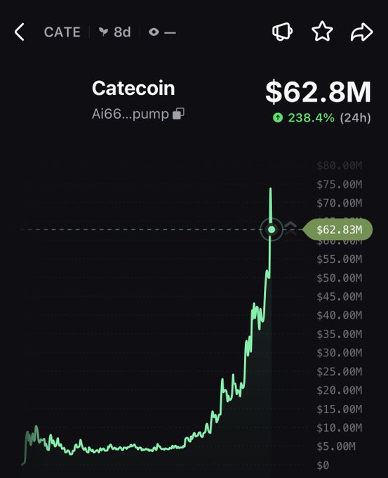 A screenshot of a crypto price chart for Catecoin (CATE) showing a market cap of $62.8M with a 238.4% gain over 24h, displaying a sharp upward trend.
