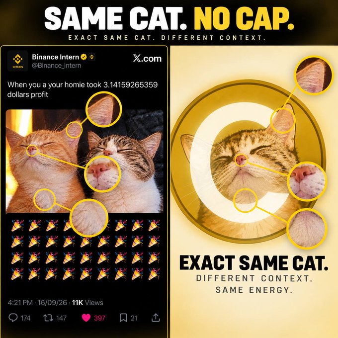 The image shows a side-by-side comparison proving the same orange-and-white tabby cat appears in both contexts, with the left side displaying a Binance Intern tweet about a friend making $3.14159265359 in profit alongside party emojis, and the right side showing the cat centered in a golden circular logo—aligning with the post noting that the Binance intern is using the same cat as the $CATE memecoin mascot.