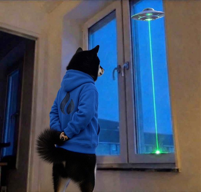 The image features a black and white dog standing by an open window, looking out at something outside. The dog appears to be wearing a blue hoodie or jacket, which adds a unique touch to the scene. In the background of the image, there is an ufo ( unidentified flying object) hovering above the dog's head, creating an interesting contrast between the real world and the fictional one depicted in the post.