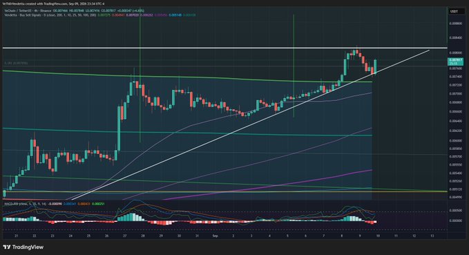 A TradingView candlestick chart showing Tradoor/USDT price action with multiple moving averages and a MACD indicator below.