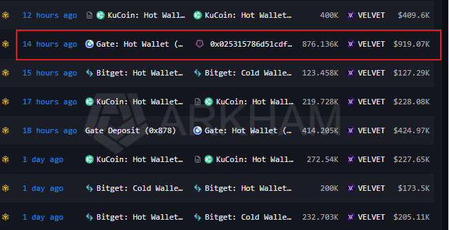 The image shows a crypto transaction tracking list with a highlighted entry from 14 hours ago showing a transfer of 876.136K VELVET ($919.07K) from Gate Hot Wallet to the wallet 0x025315786d51cdf... on Arkham. This visual corroborates the post's claim about a whale entity rotating capital by withdrawing 876.1K $VELVET ($919K) from Gate into self-custody.
