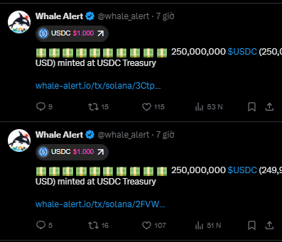 Two Whale Alert Twitter posts showing large USDC minting transactions: 250,000,000 $USDC minted at USDC Treasury on Solana, with 9 and 5 replies respectively.
