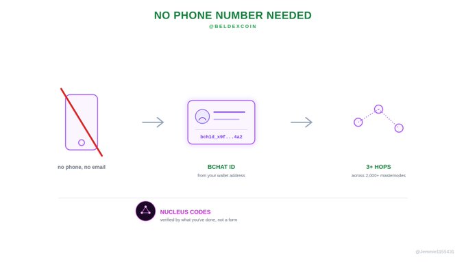 An infographic titled "NO PHONE NUMBER NEEDED @BELDEXCOIN" illustrates the Beldex privacy features, showing that no phone or email is required for a "BCHAT ID" which uses "NUCLEUS CODES" and "3+ HOPS" across "2,000+ masternodes".