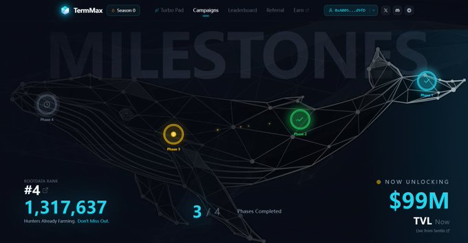 The image is a screenshot of a webpage from TermMax, featuring a whale graphic and the phrase "Term Max" in the top left corner. In the bottom right corner, there is a caption or description provided by @TermMaxFi. The terms "Term Max", "BNB Chain", and "DeFi" are present on this part of the screenshot.