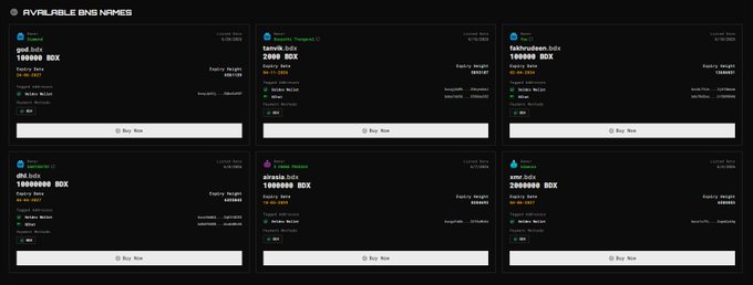 A dark-themed digital marketplace interface displaying 'AVAILABLE BNS NAMES' listing six NFT items with bid prices ranging from 1,080,000 BOX to 8,500,000 BOX.