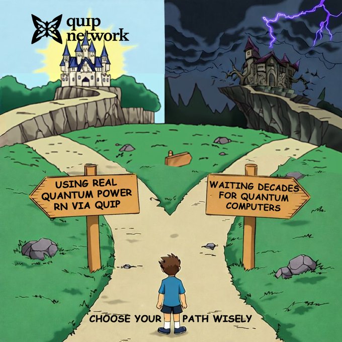 The image features a cartoon boy standing at an intersection with two signs, one pointing towards classical computing and the other towards quantum computing. The sign for classical computing says "Waiting Decades For Quantum Power Rn Via Quip". This suggests that classical computers are not yet powerful enough to compete with modern technology in terms of speed and efficiency. On the other hand, the sign for quantum computing states "Choose Your Path Wisely", implying that people should consider adopting or supporting the development of quantum computers as a means to advance technology and solve complex problems more efficiently.