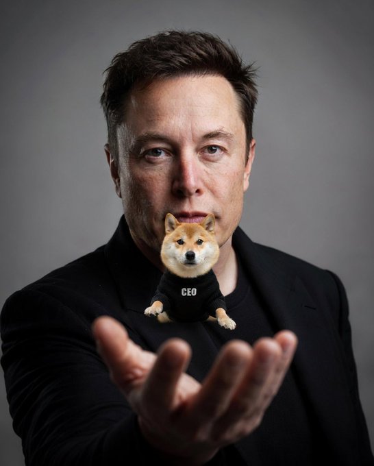 Elon Musk gazes at the camera while presenting a Shiba Inu dog wearing a "CEO" shirt in his outstretched hand, a humorous nod to the $DOGE meme coin being the "secret sauce" behind his ventures. The image playfully ties his leadership persona to the cryptocurrency's dog mascot, suggesting Dogecoin's hidden role in his success.