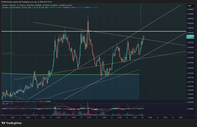 A TradingView financial chart displaying a VeChain (VET/USD) candlestick chart on Binance with MACD indicator, showing various trendlines and price action.