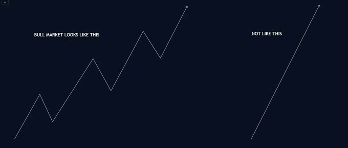 A meme-style chart comparing two lines, labeled 'BULL MARKET LOOKS LIKE THIS' showing a zigzag upward trend versus 'NOT LIKE THIS' showing a straight diagonal line.