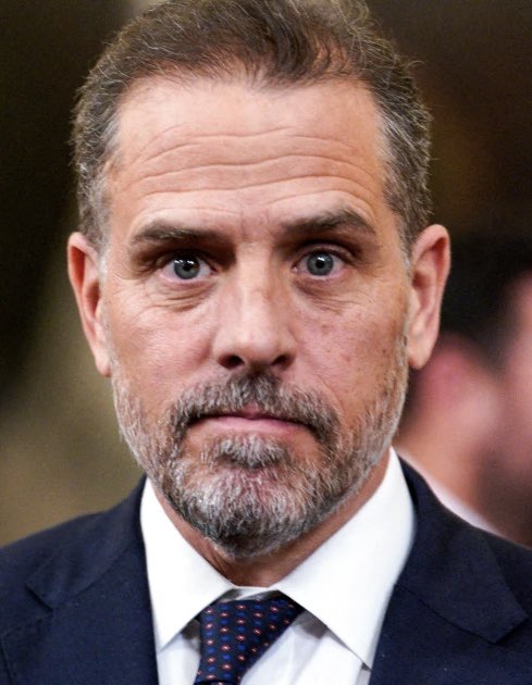 A close-up of Hunter Biden's face wearing a dark suit and patterned tie, used as a visual punchline for a joke mocking his $LAPTOP memecoin's massive 99.5% crash amid a broader memecoin market rally.