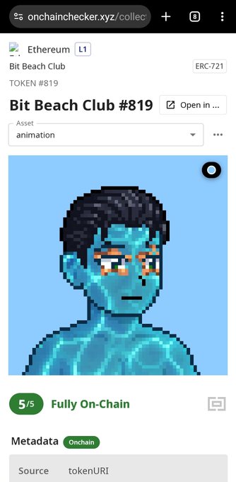 A mobile web page on onchainchecker.xyz showing details for 'Bit Beach Club #819', an ERC-721 Ethereum NFT with a pixel art avatar and '5/5 Fully On-Chain' rating.