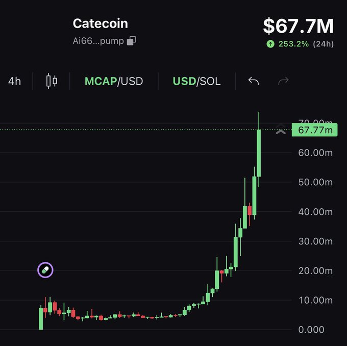 This image displays the "Catecoin" chart showing a significant upward trend, reaching $67.7M with a 253.2% increase in 24 hours. The post seeks honest opinions on $CATE, comparing its potential to $DOGE.