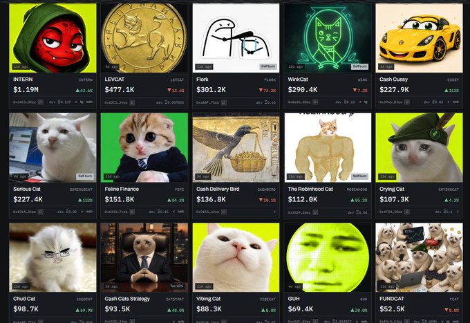 A dashboard of crypto token listings—including Cash Cat ($227.9K), Flork ($301.2K), INtern ($1.19M), LEVCAT ($477.1K), WinkCat ($290.4K), Serious Cat ($227.4K), Feline Finance ($151.8K), Cash Delivery Bird ($136.8K), The Robinhood Cat ($112.0K), Crying Cat ($107.3K), Chad Cat ($98.7K), Vibing Cat ($88.3K), and GUH ($69.4K)—supports the poster's claim that Cash Cat has the strongest market cap among cat-themed tokens, making a low-cap runner on letscash launchpad asymmetrical.