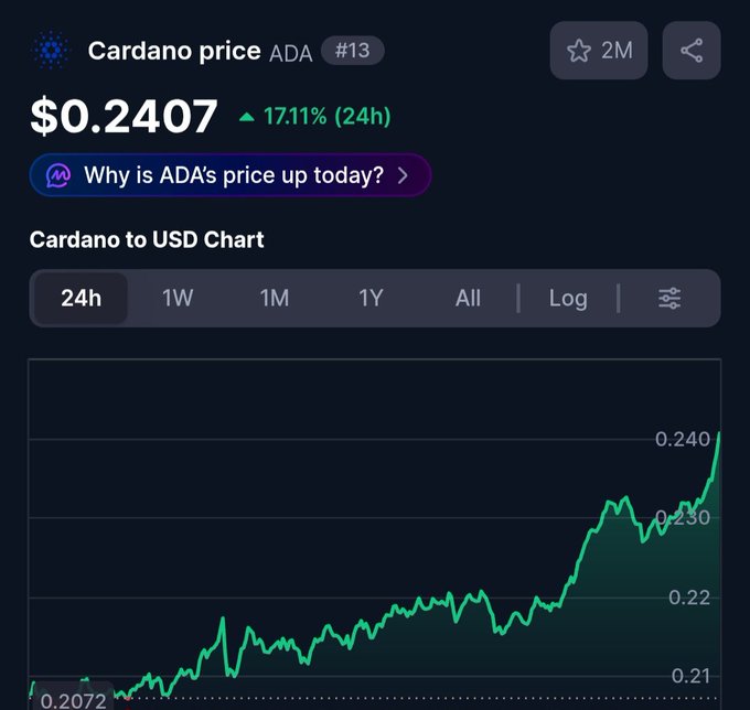 Cardano (ADA) price chart showing $0.2407, up 17.11% in 24h, with the price climbing from around $0.2072 to a peak near $0.240.