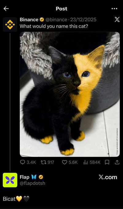 A Binance X post dated 23/12/2025 shows a black-and-yellow chimera cat and asks followers "What would you name this cat?" with 3.4K replies, 917 reposts, 5.6K likes, and 584K views, while a Flap @flapdotsh reply suggests "Bicat🧡🐈‍⬛," tying into the accompanying post about the Bicat NFT collection launching on OpenSea and Hood with a 2025 supply on Robinhood.