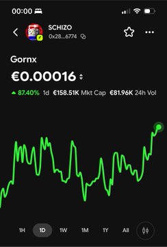 A screenshot from a financial app showing the token ticker '$CHIZO' on the Gornix network. The price is €0.000016, up 87.40% (1d), with €158.51K Mkt Cap, €81.96K 24h Vol, and a green price chart.