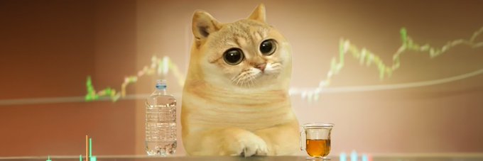 A digital illustration shows a cat sitting at a table with a water bottle and a small glass, set against a background of a rising stock market chart.