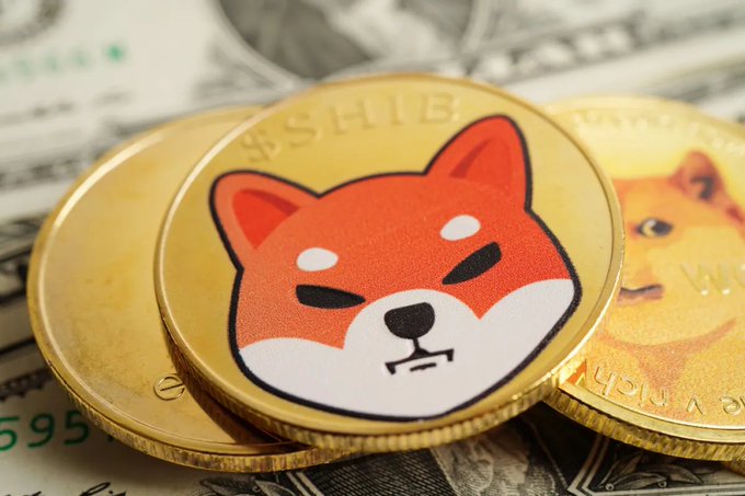 Two gold-colored Shiba Inu ($SHIB) coins, prominently featuring the iconic orange Shiba dog logo and "$SHIB" text, rest atop U.S. dollar bills, visually reinforcing the post's message of increased spot inflows and whale accumulation driving the token's momentum.