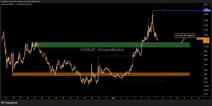 The image displays a TradingView 4-hour candlestick chart of the $CASHCAT/USDC pair on Coinbase, featuring a green "Current MS support" zone annotated near the $3.45 price level, with the price currently retesting this support after reaching a recent high near $5. This visual supports the post's claim that $CASHCAT is "retesting the MS support zone" while maintaining a bullish structure above the lower support flip zone (shown in orange).