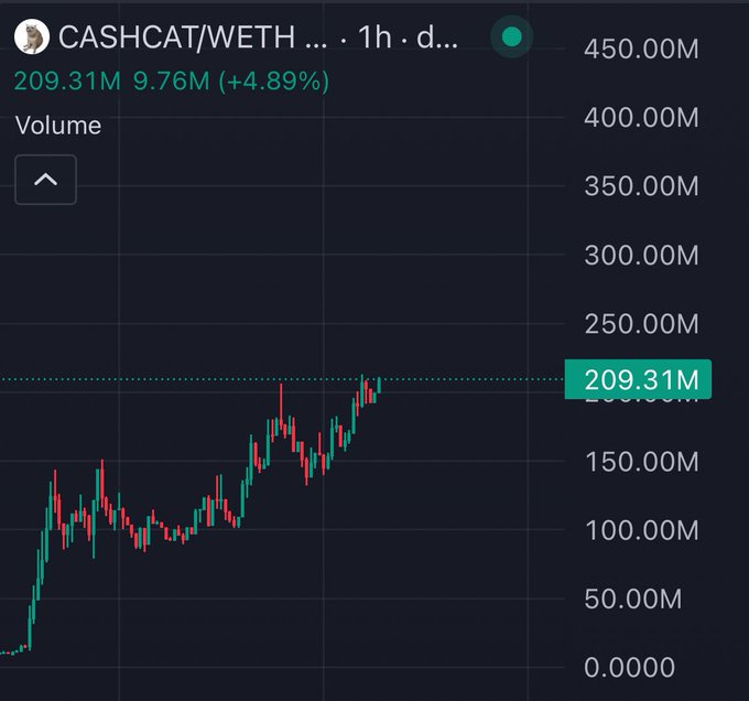 A candlestick chart displays CASHCAT/WETH trading volume on a 1-hour timeframe, with the current value highlighted at 209.31M, showing a 4.89% increase (9.76M) as the trend climbs upward from the bottom left. The screenshot's upward trajectory and rising volume support the poster's triumphant "do you believe me now?" message, suggesting their prediction about CASHCAT's performance was correct.
