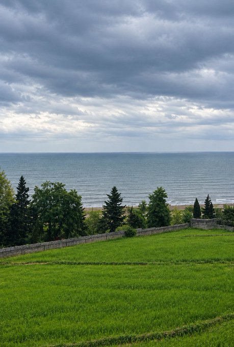 A scenic landscape view of green grass and trees in the foreground leading to a beach and the ocean under an overcast, cloudy sky.