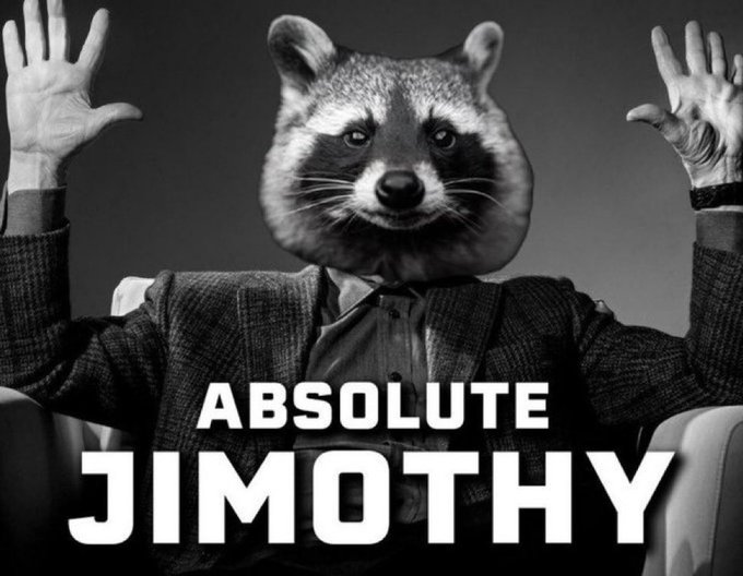 A black-and-white meme shows a figure in a suit with a raccoon's head and raised hands, labeled 'ABSOLUTE JIMOTHY'.