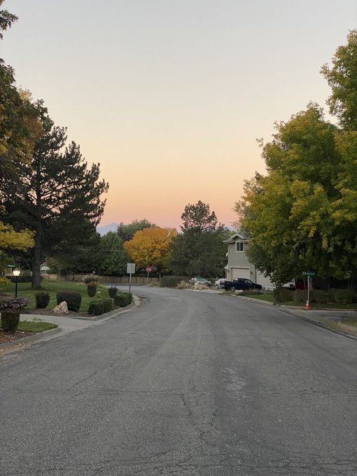 A suburban street at sunset with trees lining both sides and houses visible in the distance.