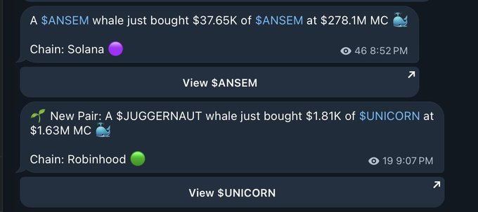 The image shows two whale alert notifications from a Telegram bot: a $ANSEM whale buying $37.65K of $ANSEM at $278.1M MC on the Solana chain, and a $JUGGERNAUT whale buying $1.81K of $UNICORN at $1.63M MC on the Robinhood chain. This visually demonstrates the post's announcement that Whale Watch now combines Solana and Robinhood Chain smart money buys into a single unified feed.